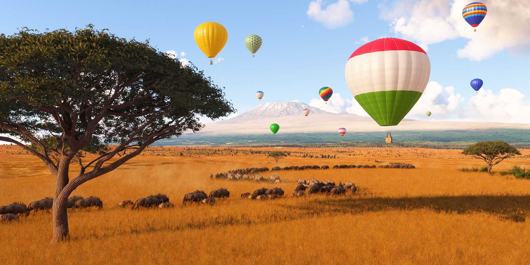 Microsoft Flight Simulator 2024 Hot Air Balloons African Plains