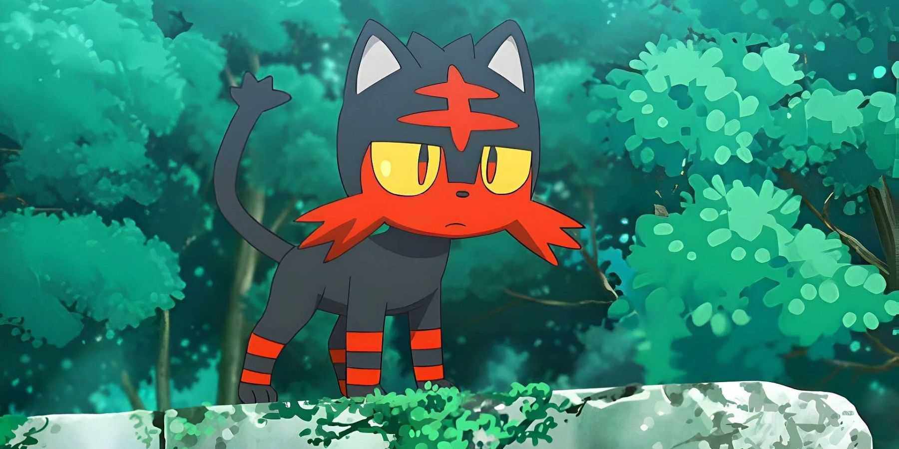 A screenshot from the Pokemon anime, showing Fire Pokemon Litten.