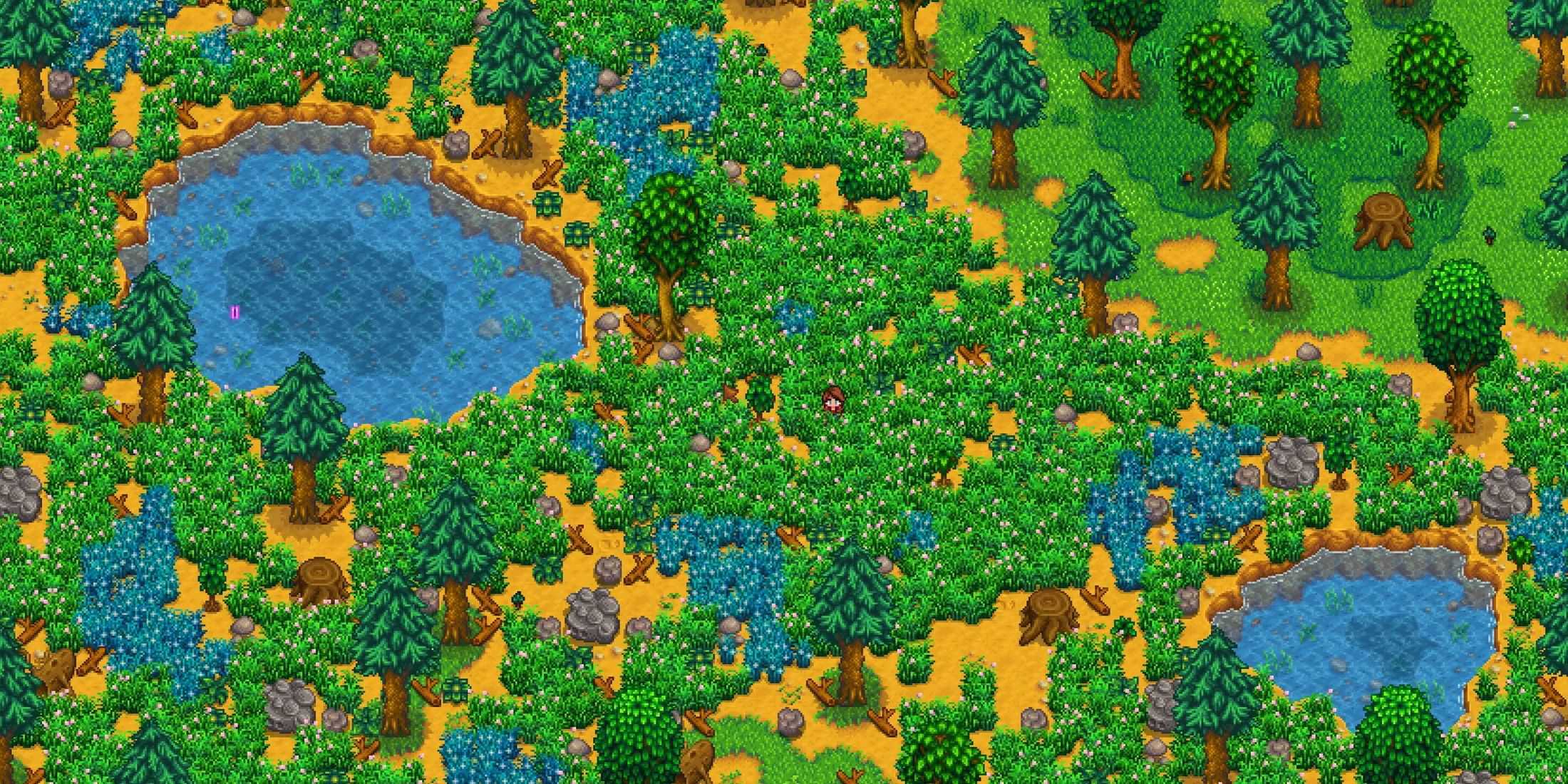 A screenshot from Stardew Valley showing a forest on a player's farm.