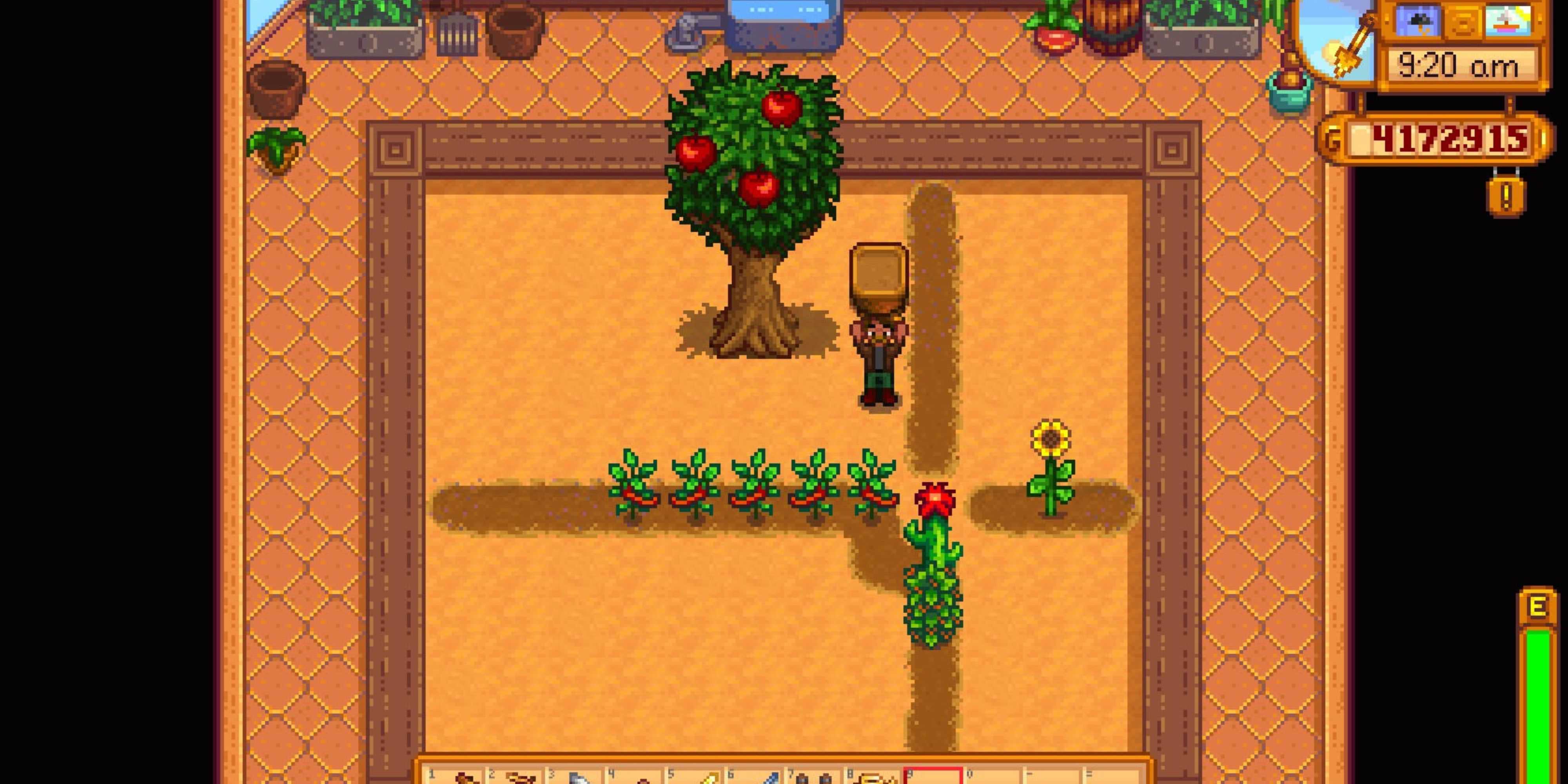 A character holding a garden pot in a Greenhouse in Stardew Valley