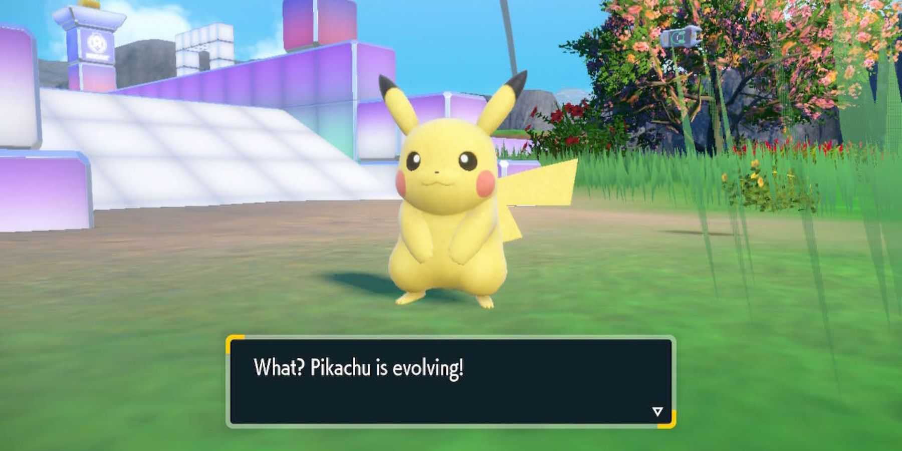 pokemon escarlate e pikachu violeta evoluindo para raichu