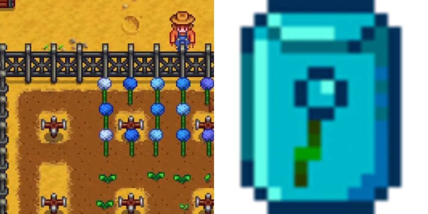 Stardew Valley jazz seeds