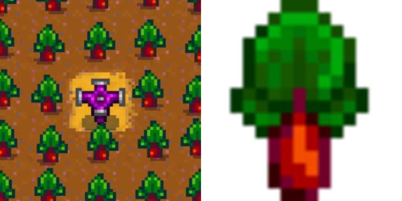 rhubarb plants in Stardew