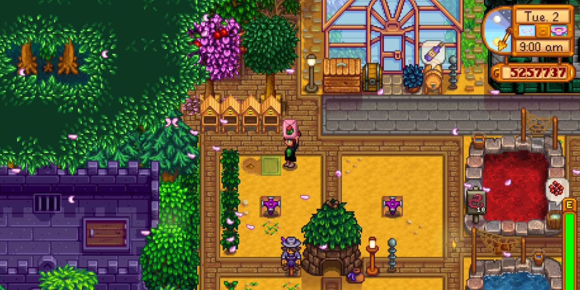 Planting Tulips Near Bee Houses Stardew Valley Tulip Honey