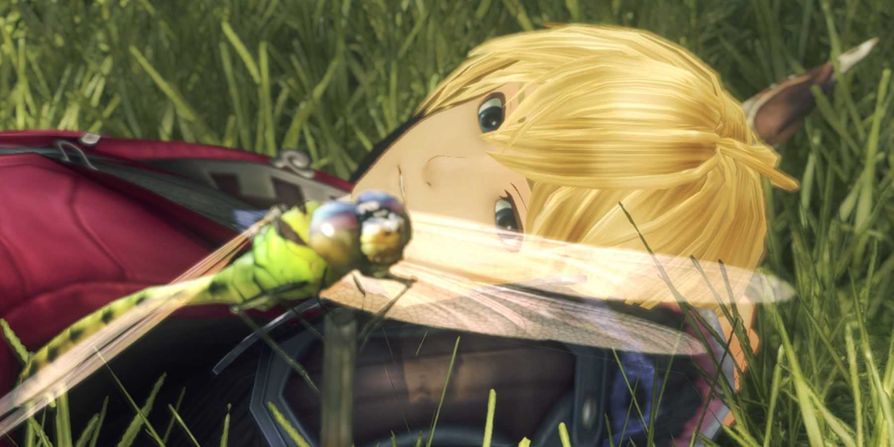 Xenoblade Chronicles Protagonist Shulk Lying In Grass Looking At A Dragonfly