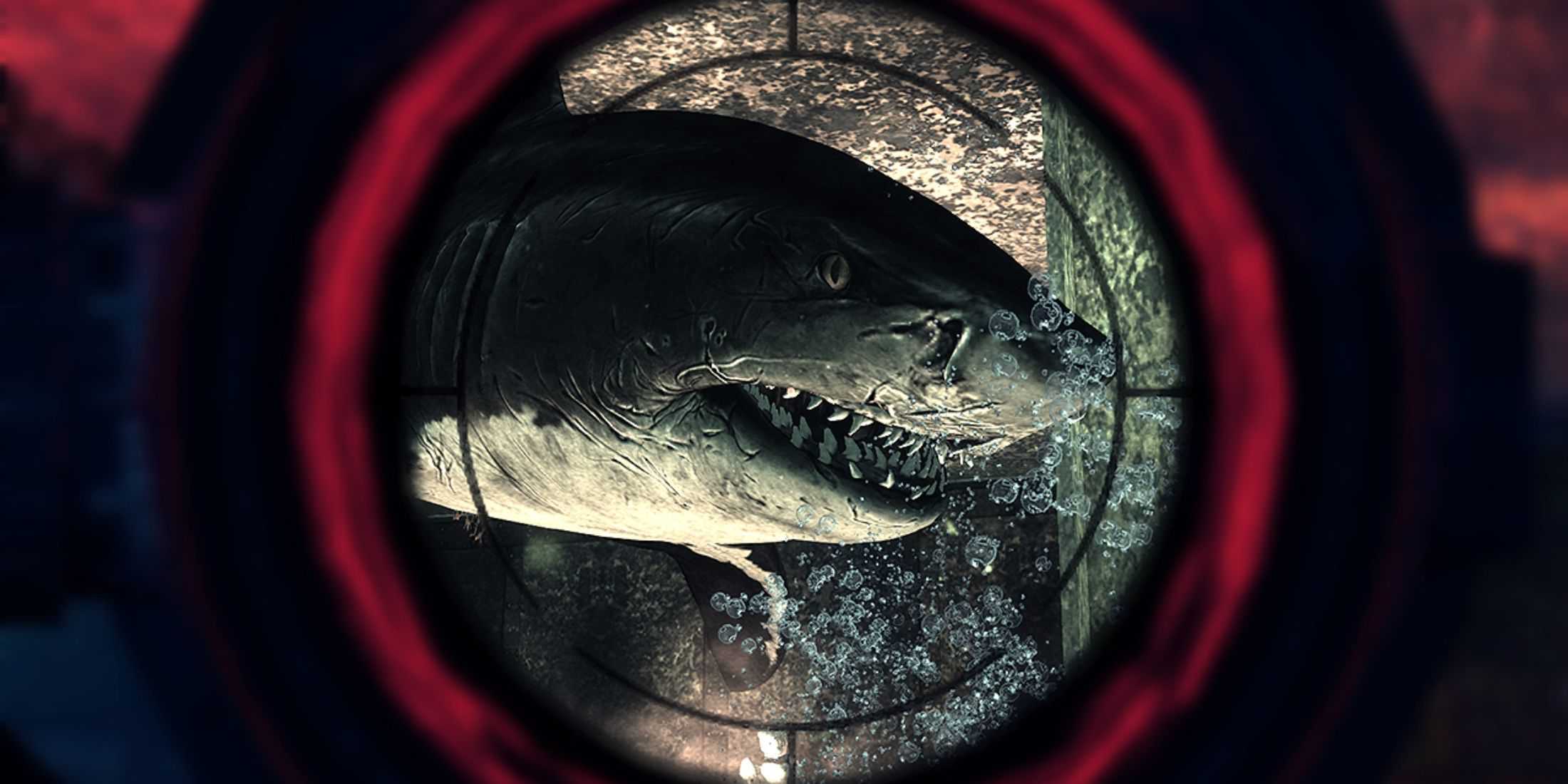 A shark in the scope of a rifle