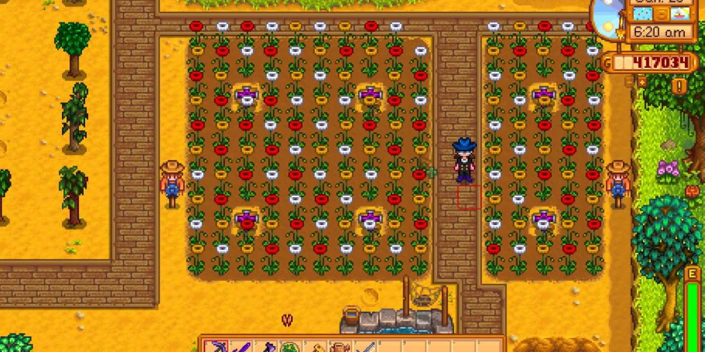 fazenda de papoulas stardew com caminhos entre as plantações e as árvores